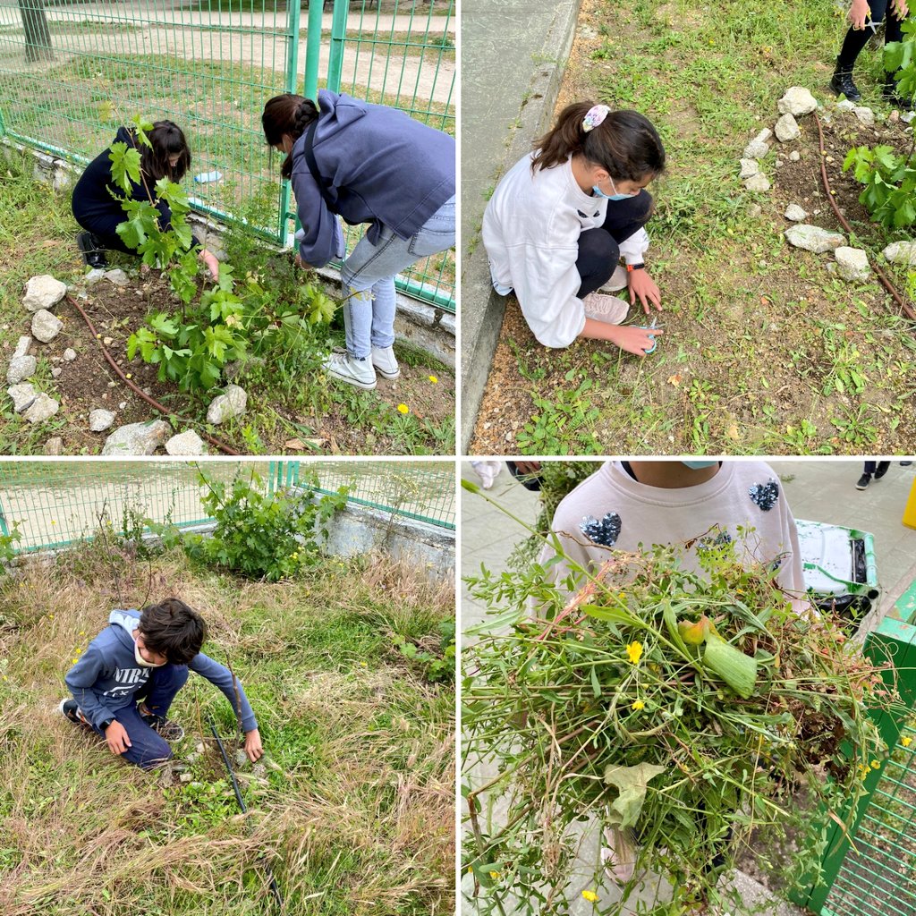 Mañana de tareas de limpieza de nuestro #HuertoEscolar.