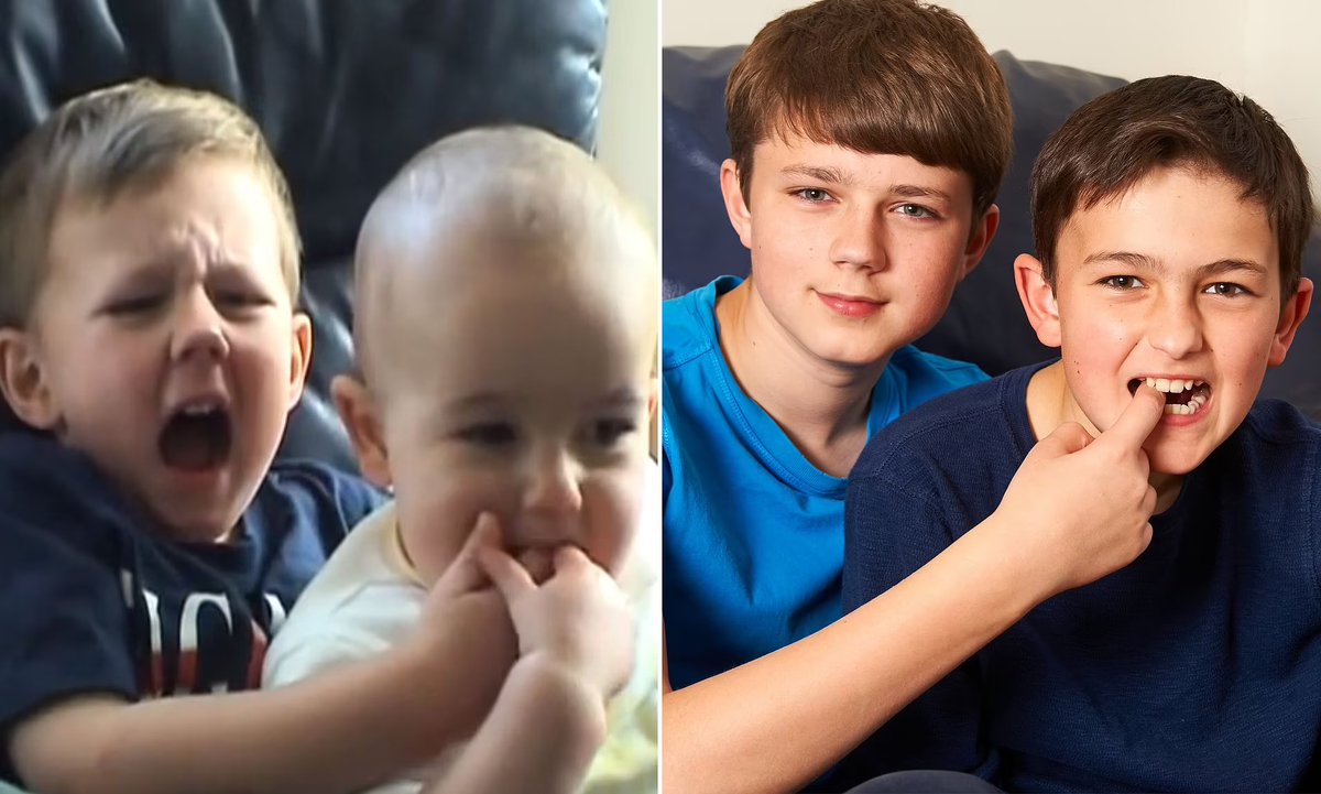 цианид и счастье собака. надпись май френдс.