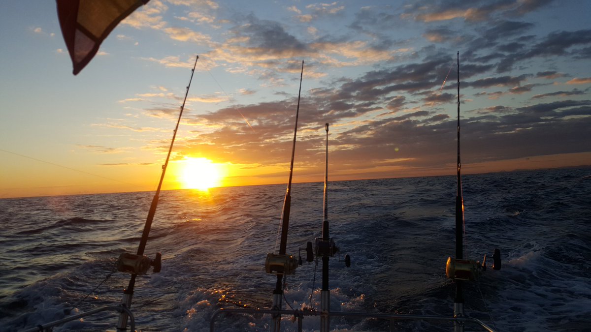 El Atunero🏴‍☠️ tweet media