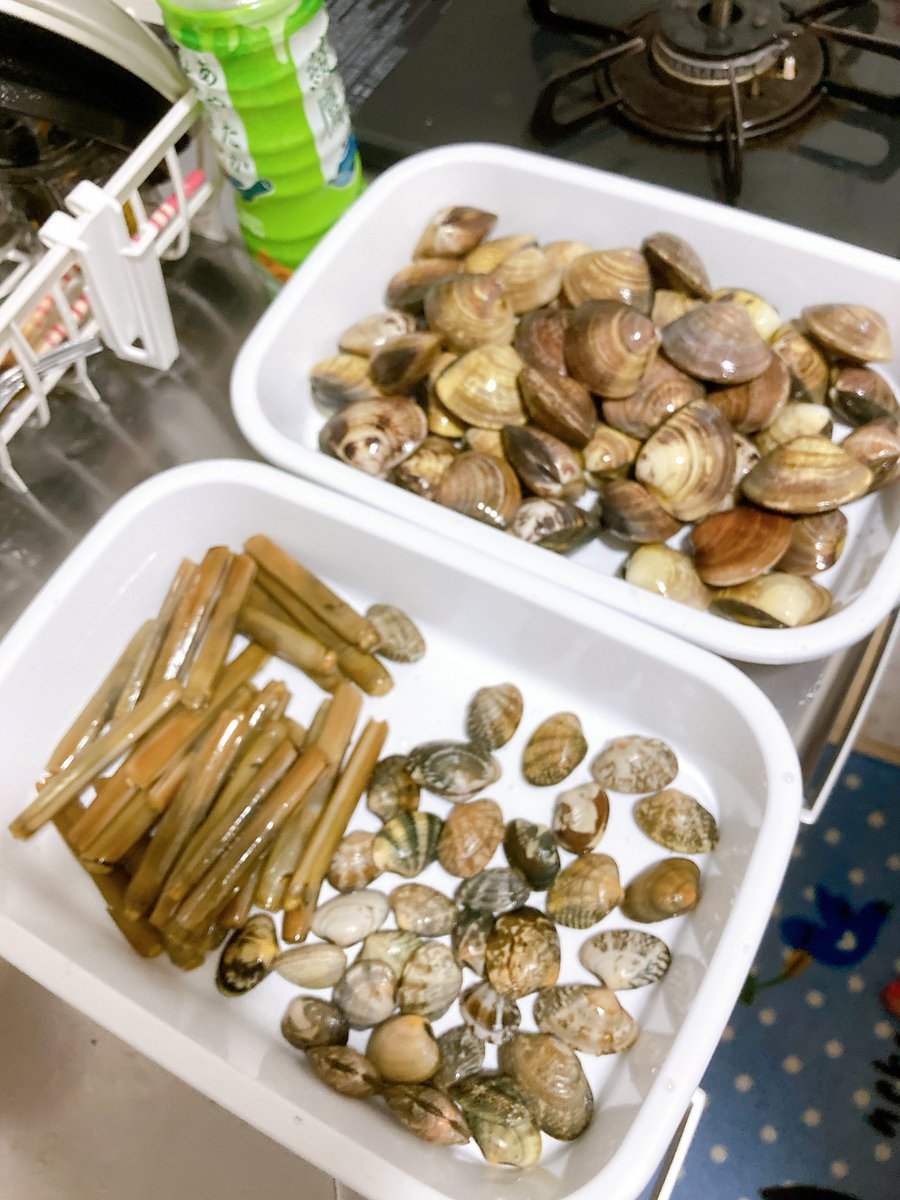 たーみー 釣り垢 潮干狩り結果 アサリ 37個 マテ貝 28個 でした 最後の1人になるまで粘ったけど 全然ダメでした けど お土産としてハマグリ50個程頂いたので大満足です 的形 潮干狩り