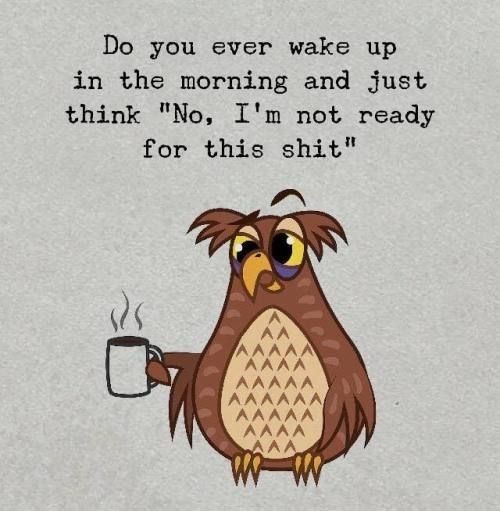 menhavlupus's tweet photo. #GoodMorning fellow #Lupies &amp; #spoonies! Don't forget your morning meds! #MedReminder #MedTime #MenHaveLupus #TasteTheLupusRainbow #LupusaurusRex #MayIsForLupus #LupusAwarenessMonth #PaintTwitterpurple https://t.co/4svtzmpVwp