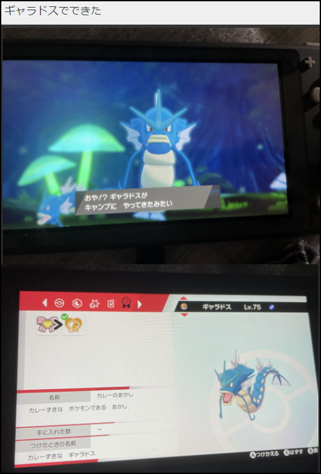 ボーマンダのtwitterイラスト検索結果