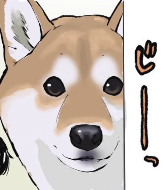 @K5dbZRmjNe77i5r 入浴に限らず、
こちらが柴ワンに対してよろしくない事を目論んでいると、
まさにこの顔でこちらを穴が開く程観察してますよね🤣 