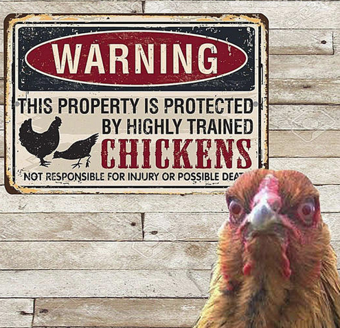 Gandzel's tweet photo. @HollyConrad I'm sure you've seen this, but just in case . . . . A sign for your backyard!  ;) https://t.co/6sBva5iFqD