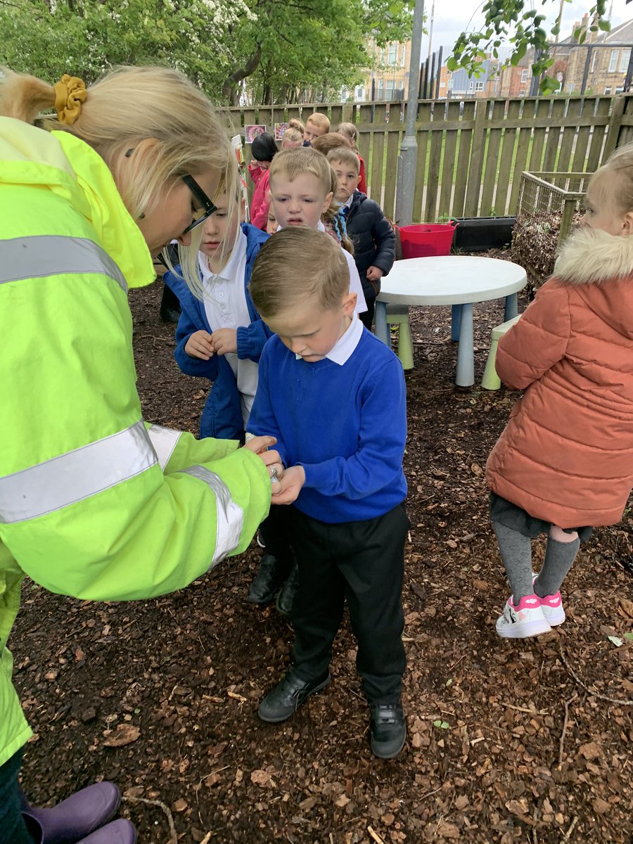 MrsQuigley2016's tweet photo. Primary 1Q have been out planting wild flowers 💐 donated by one of our parents @louisejwarmo thank you 😊 we also planted some carrots 🥕 @PirieParkPS https://t.co/ZlPyqQZKce