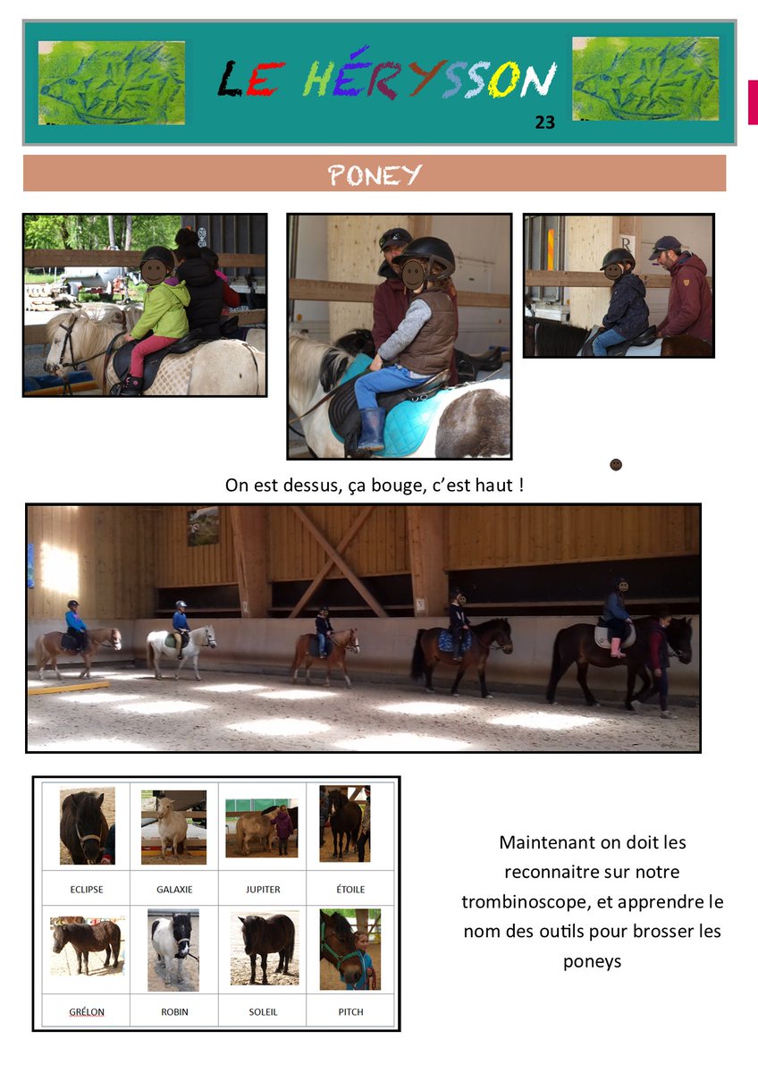 Tous les mardis on fait une activité poney pour remplacer notre classe de découverte. A la fin on fera une grande sortie !