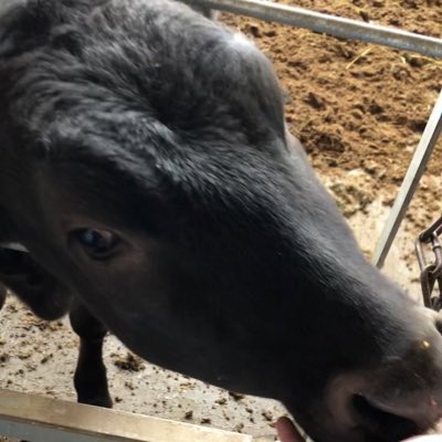 i_farm tweet media