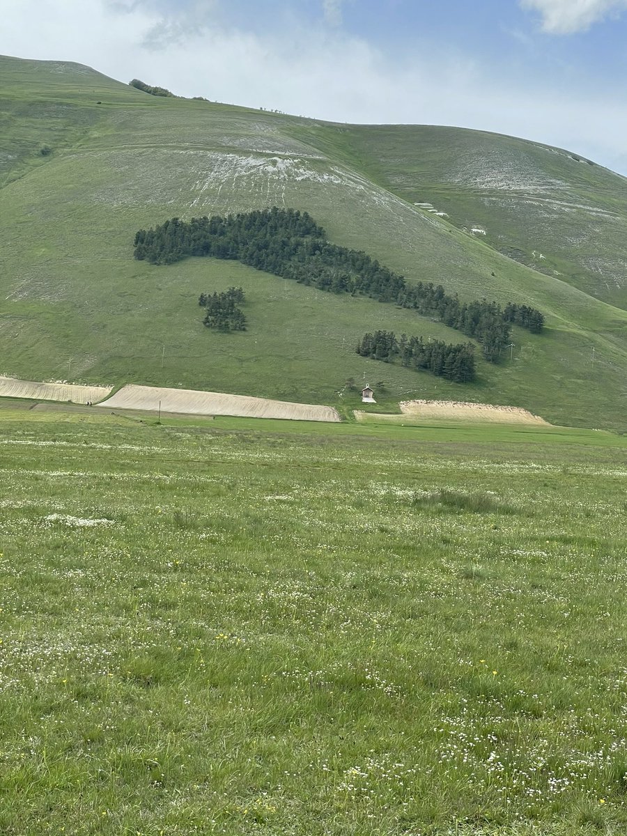 ritagara83's tweet image. Domenica a Castelluccio ❤️#castellucciodinorcia #family #noi