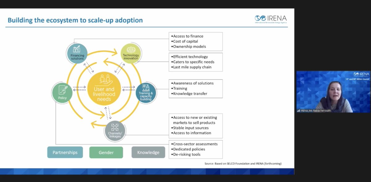 Using #SELCOFoundation's #EcosystemApproach, Rabia Ferroukhi sets the context at the Energy Transition and Food Systems for Sustainable Development @IRENA