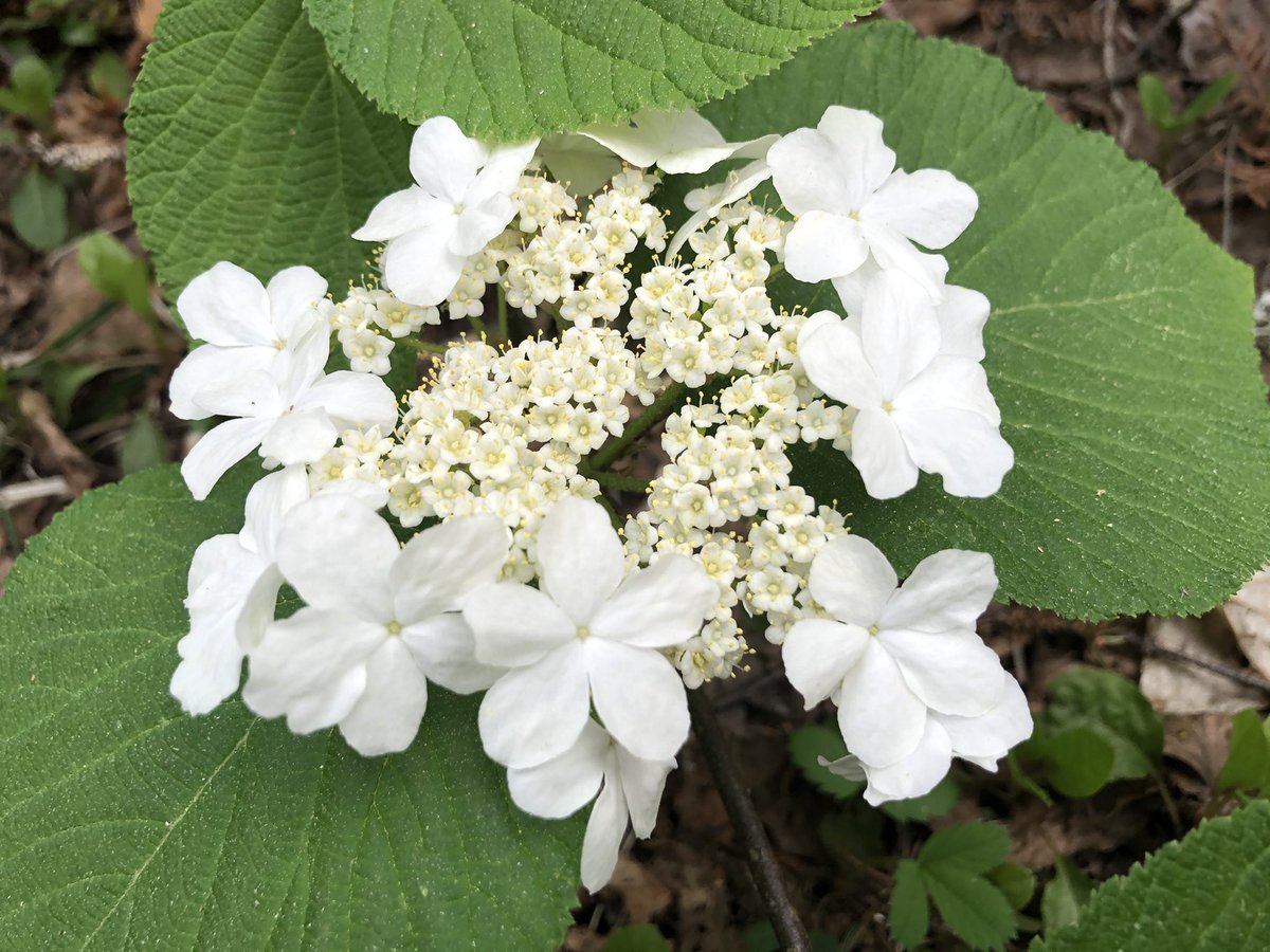 Jake Cookson tweet media