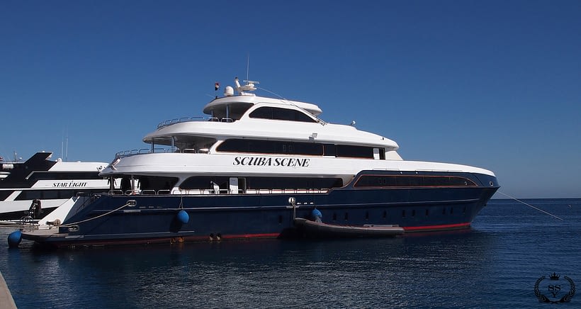 ScubaverseMedia's tweet photo. New Red Sea liveaboard: M/Y Scuba Scene
@OysterDiving #RedSea #diving #liveaboard #ScubaScene #dive #travel #scuba 
https://t.co/3TsKV5WiCA https://t.co/7IemG4xxSC