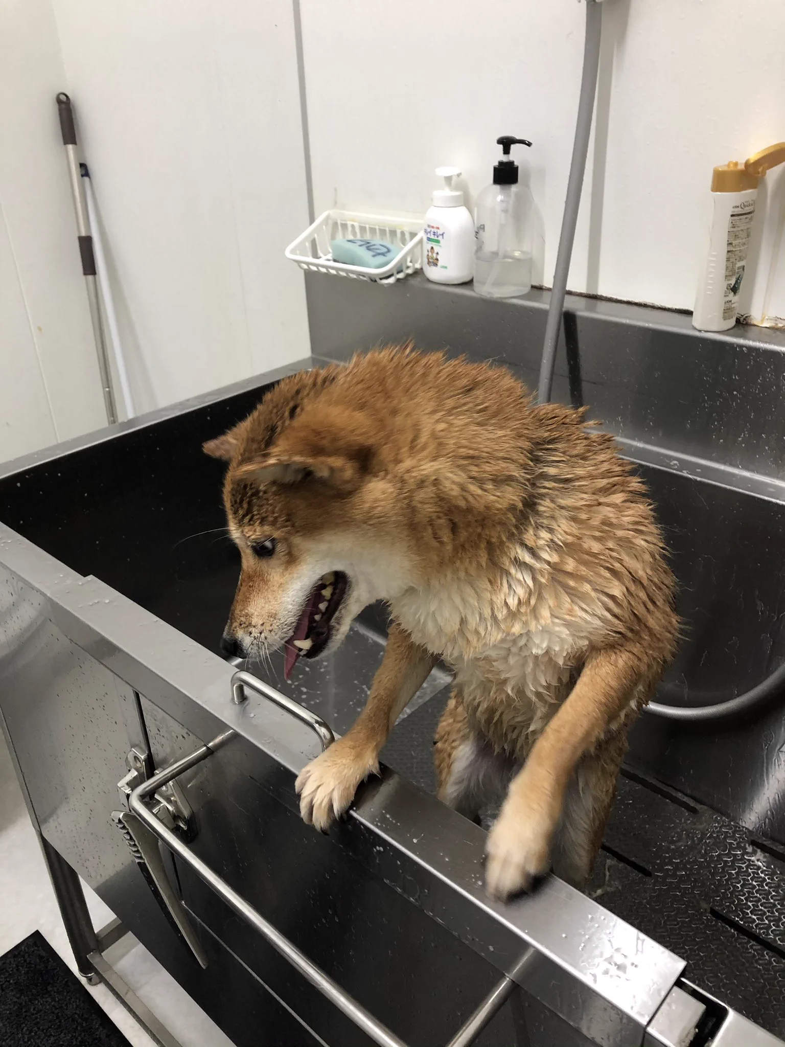 @K5dbZRmjNe77i5r 全く同じです 