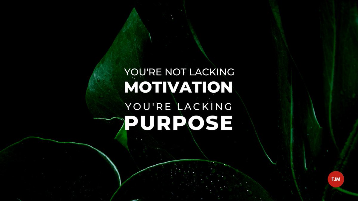tristanjud's tweet image. You need purpose to feel motivated. 
The purpose could be a new client, new stock, new strategy or a positive review. 
But, you also need to work at it to keep that purpose coming your way. 

#perthcontentcreator #webdesign #branding #socialmediagrowth  #perthsmallbusiness