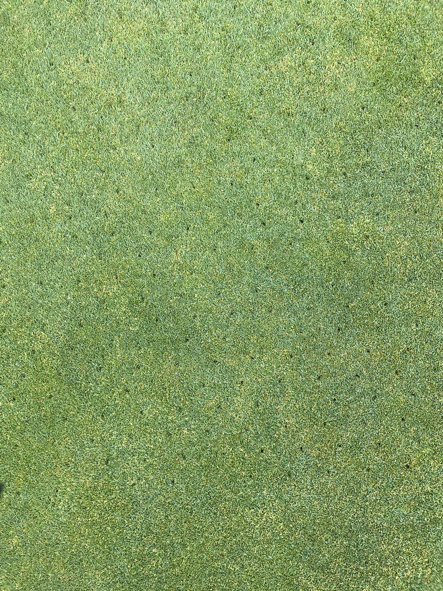 TheCrestKeeper's tweet photo. Solid tine time #thecrest #stepgoalcomplete https://t.co/dkWQLVaK5A