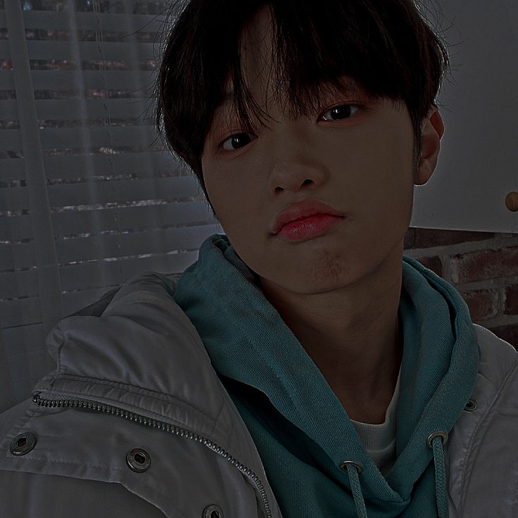 𓃱 𝕥𝕙𝕖𝕠𝕕𝕠𝕣𝕖𝕓𝕦 tweet media