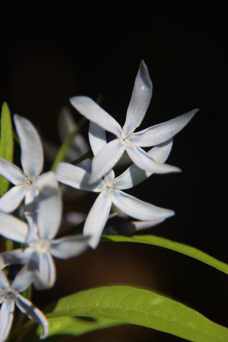 Good night. Have sweet dreams😌

Tue 11:00PM 🇯🇵
Amosonia 🌸
