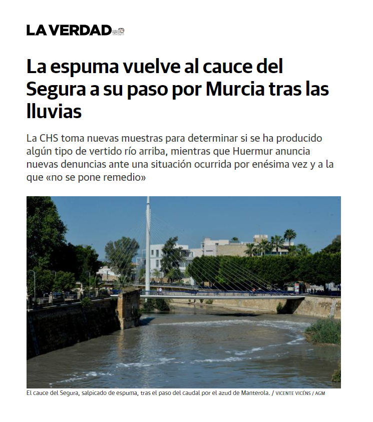 Acaban las lluvias y aparecen las espumas blancas en el río Segura a su paso por la ciudad de #Murcia. Es INDIGNANTE, y ni la <a href="/chsriosegura/">Confederación Hidrográfica del Segura</a> ni la Consejería de #MedioAmbiente <a href="/regiondemurcia/">Gobierno de la Región de Murcia</a> son capaces de dar una solución definitiva, ¿hasta cuándo? #SOS

laverdad.es/murcia/ciudad-…