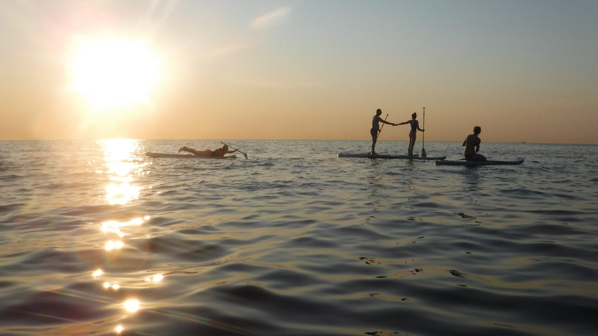 MOLOKAISUP's tweet photo. 💙🌊La felicidad se respira al pie del mar, y qué mejor forma de hacerlo que con un poco de paddle surf 🌊💙

Reserva tu tabla y disfruta del sol, la playa y la arena

Para más información ingresa al siguiente link: 
https://t.co/HUZRcqstsM https://t.co/qDwXHoxhEa