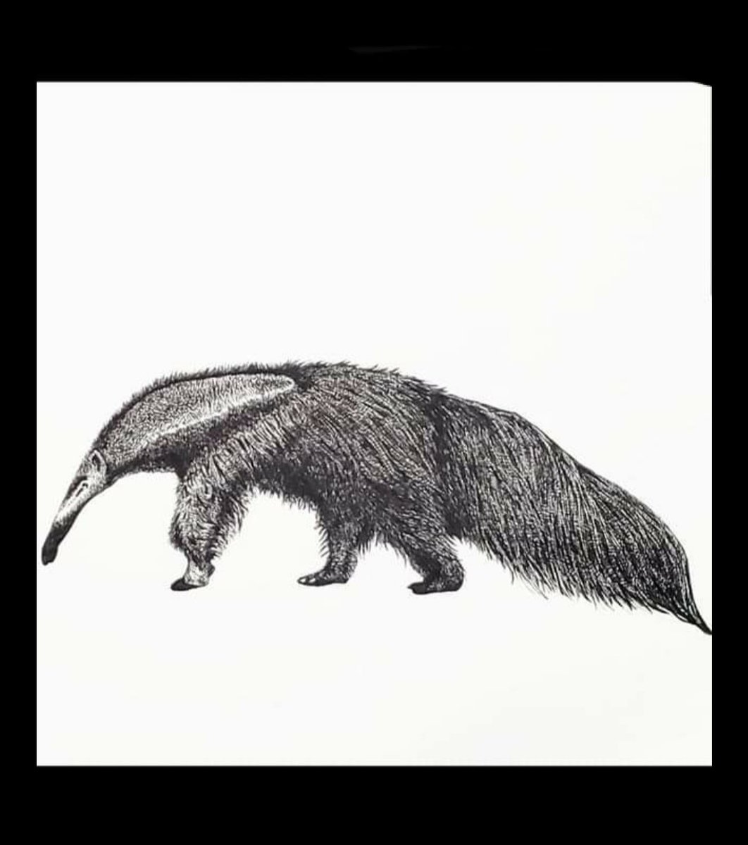 Twoucan オオアリクイ の注目ツイート イラスト マンガ コスプレ モデル