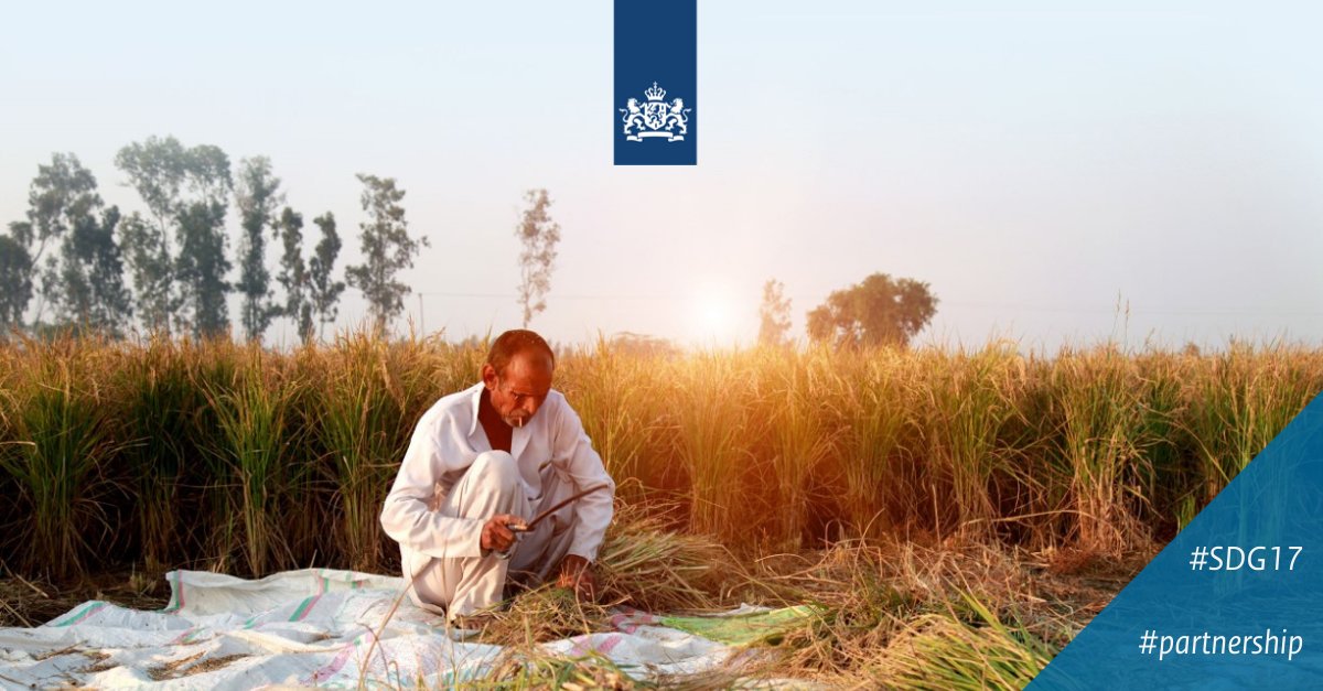 What ingredients are needed to build a sustainable, circular ecosystem? A #consortium of 6 public &amp; private pioneers are committed to finding new solutions to the global problems of resource depletion and toxic emissions in #India: bit.ly/3vg3C4h #SDG17 #NLWorks #Biomass