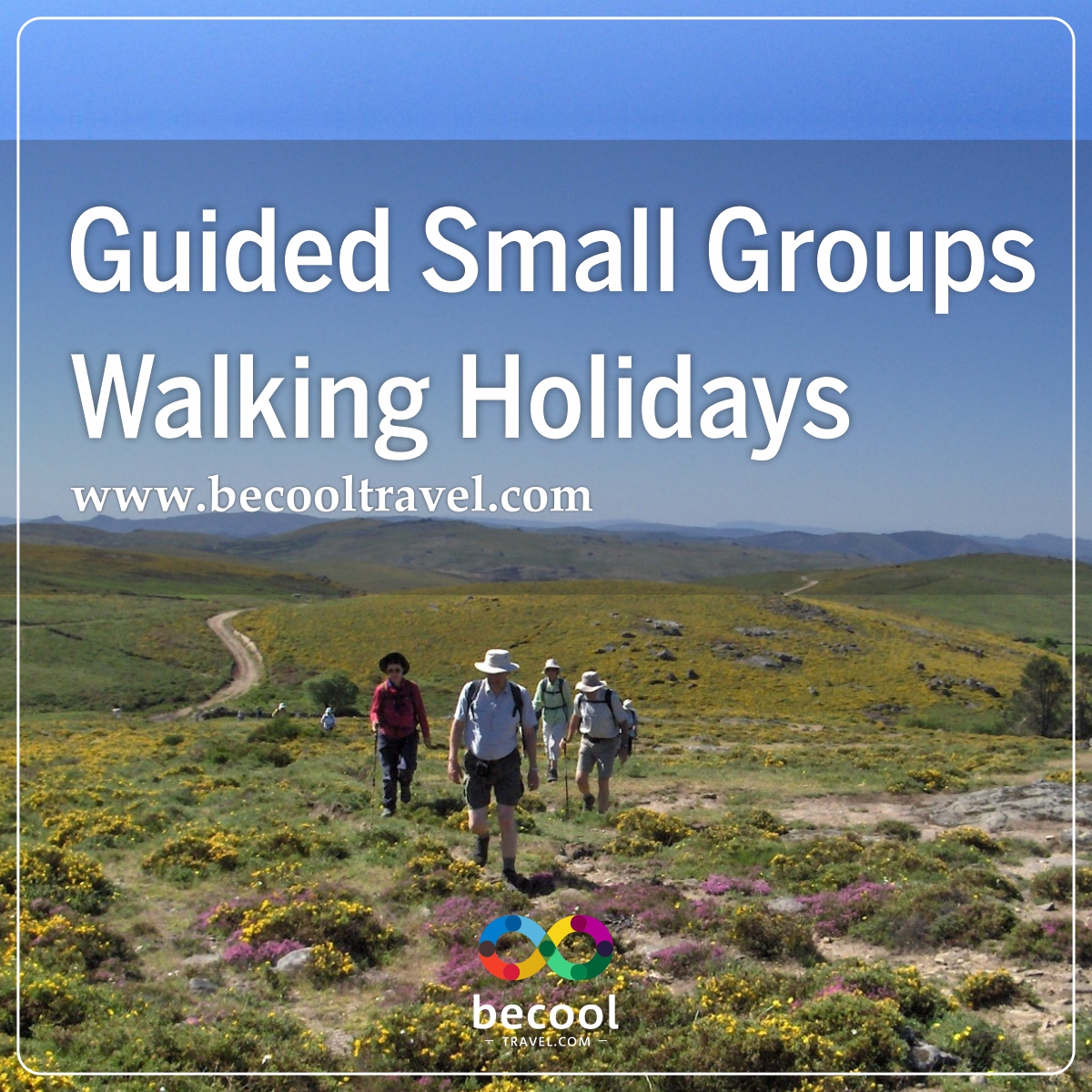 becool_travel's tweet photo. 𝐖𝐚𝐥𝐤𝐢𝐧𝐠 𝐢𝐧 𝐏𝐨𝐫𝐭𝐮𝐠𝐚𝐥, 𝐁𝐢𝐫𝐝𝐢𝐧𝐠 𝐇𝐨𝐥𝐢𝐝𝐚𝐲𝐬, 𝐂𝐲𝐜𝐥𝐢𝐧𝐠 𝐓𝐨𝐮𝐫𝐬, 𝐑𝐨𝐚𝐝-𝐓𝐫𝐢𝐩𝐬 &amp; 𝐦𝐨𝐫𝐞!
Let us inspire you with Holiday ideas for 2021 &amp; 2022:
👇
https://t.co/rdnUoRBjIW https://t.co/Q5WqDt8O2O