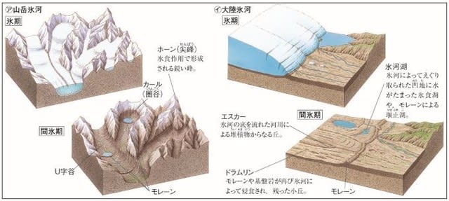 サンゴのtwitterイラスト検索結果
