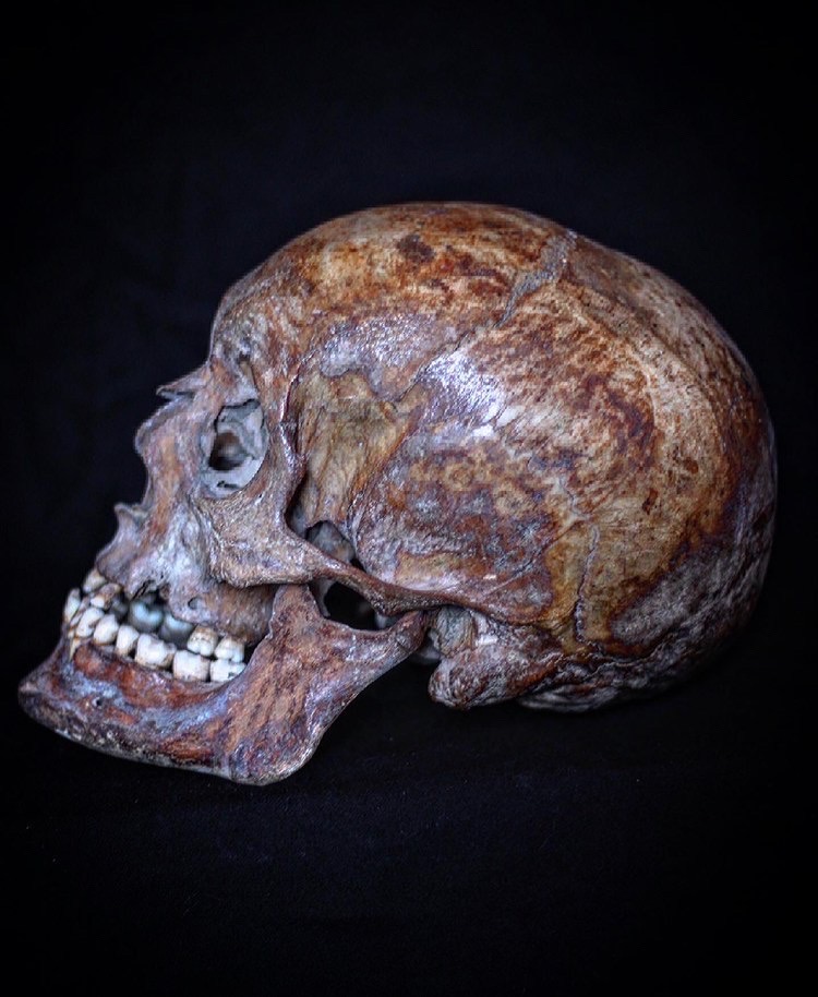 bonesforensic's tweet image. 