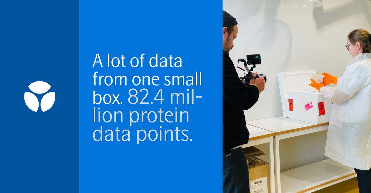 On Friday, we got the first delivery of samples from #UKBiobank. The delivery box contains 1470 samples. In a very short time, the content will give 2.6 M protein data points. That’s a lot of data from one small box, and in the end UKBB will receive 82.4 M protein data points.