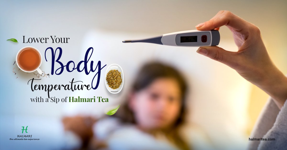 HalmariTea's tweet photo. Do you know drinking a cup of brew helps bring down #body_heat by producing sweat? Witness this wonder by customising your #morning tea with #flavourful #Teas from Halmari. Let the antioxidants do their wonder > https://t.co/r0UVqo017A https://t.co/gBxYvpy5SR