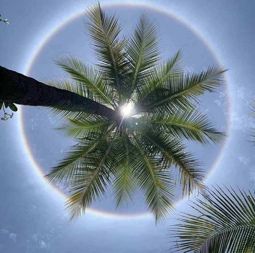 ndtv's tweet photo. #Bengaluru witnesses rare rainbow-coloured halo around the sun

(Images tweeted by BJP MP @PCMohanMP) https://t.co/9edqmc5wBi