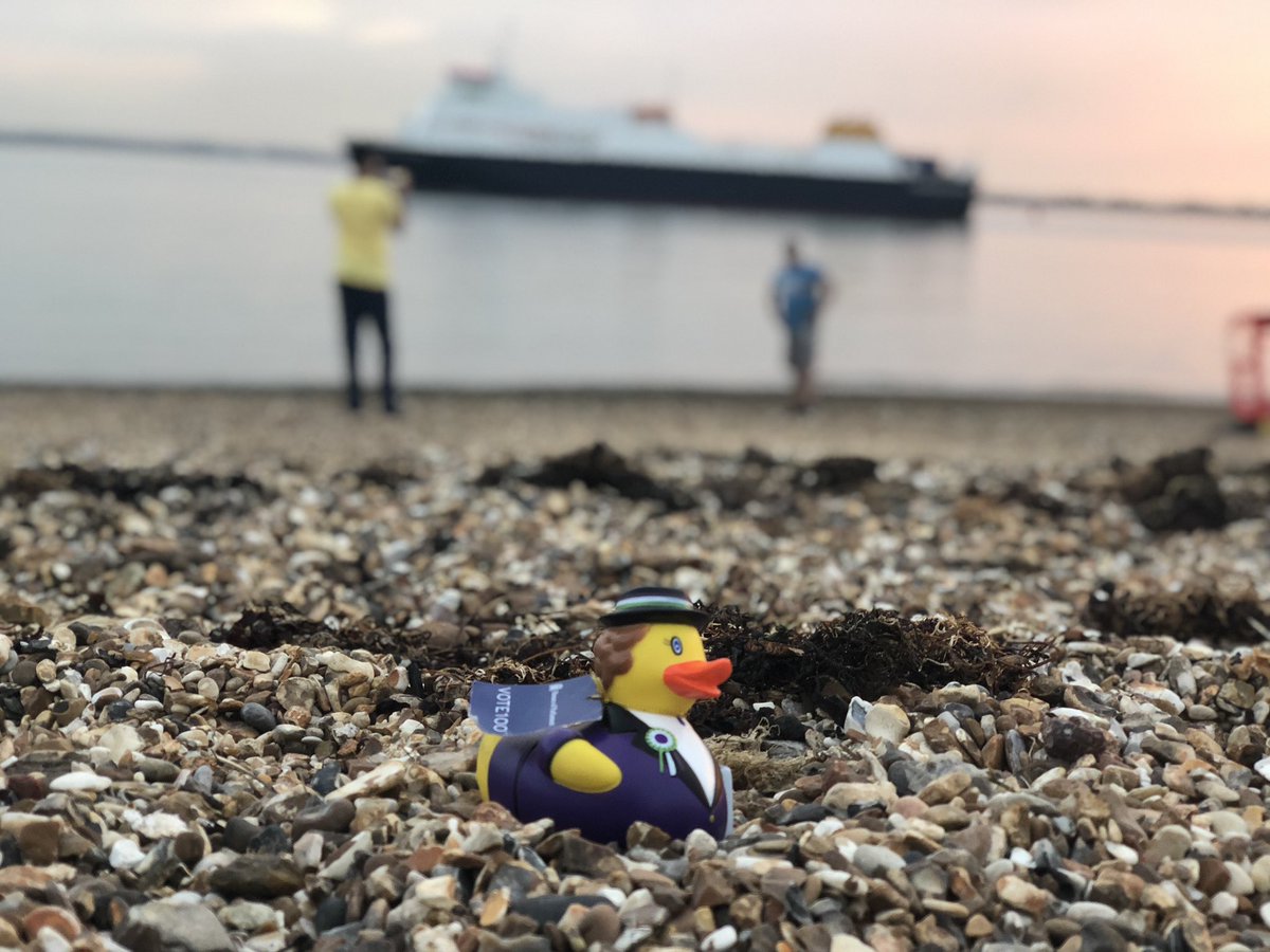 satisfactory20's tweet photo. @melindahaunton It would be remiss of me not to submit #Suffraduck - en masse in Portcullis House and in natural habitat on beach in Portsmouth, 2018 #JacobinDay https://t.co/sDHVvnmykf
