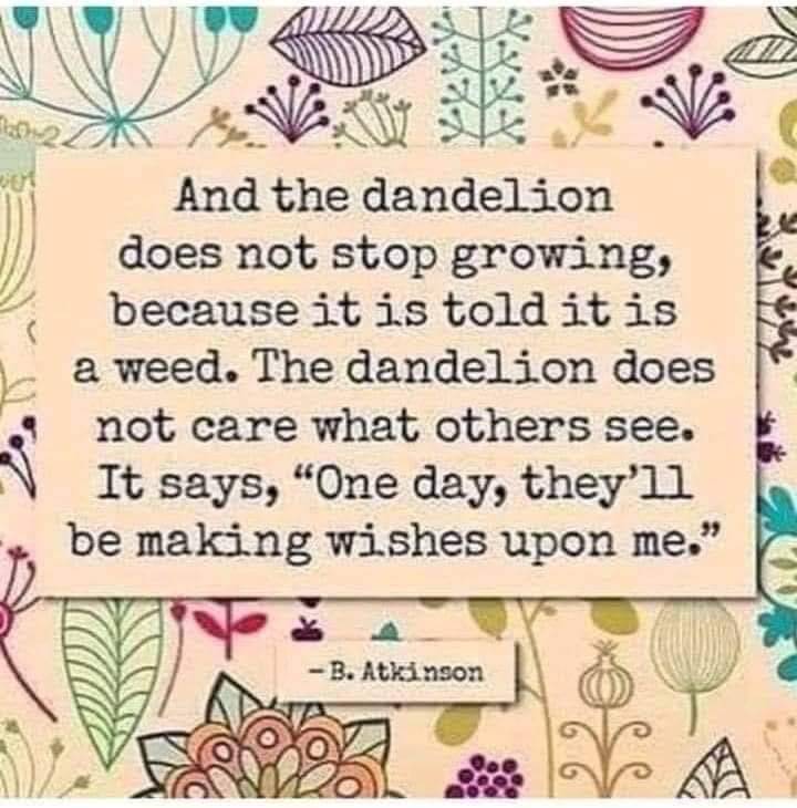 CapeCodMassage7's tweet photo. 🌼Monday Morning Motivation🌼

#CapeCodMassage #MondayMotivation #MondayVibes #Perspective #MakeItAGreatDay #EyeoftheBeholder https://t.co/GPJkCw3cv3