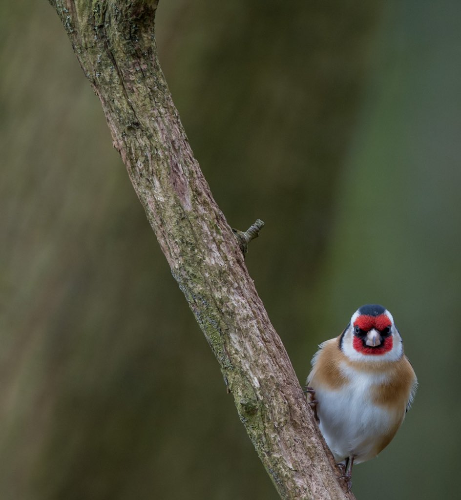 pdrphotography's tweet photo. @Natures_Voice https://t.co/JQ0ZYIVNvs