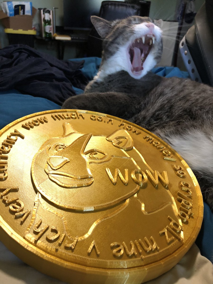 DogeChuy's tweet photo. #SuchWOW #MuchCOIN #CatDoge #DogeStuff #Dogecoin #Doge https://t.co/jsxh4wGprF