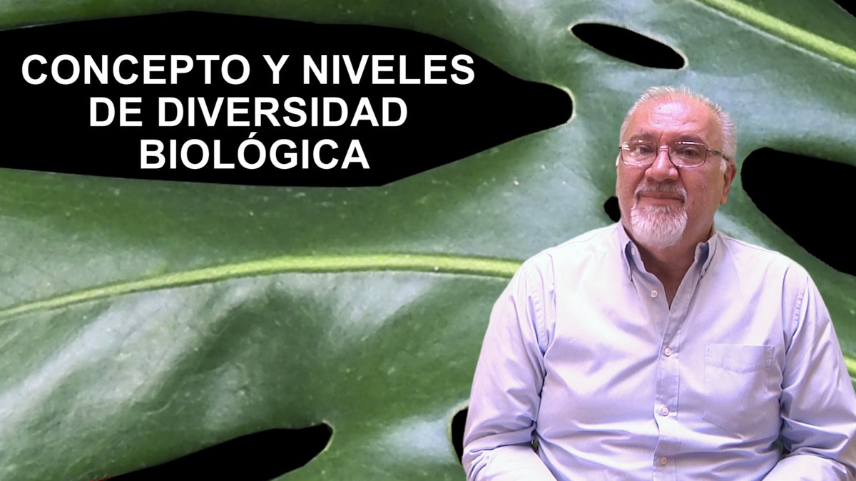 Canal Aula Invertida tweet media