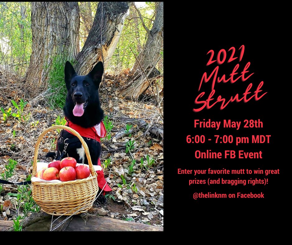 thelinknm's tweet photo. Don't miss the Mutt Strutt! (Online) - https://t.co/VChgyDlmYY https://t.co/ybR3bi6UEQ