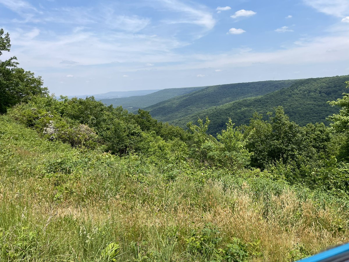 BlevinsSam's tweet photo. Not a bad view at the “office” today! Beautiful scenes up on top of Monteagle in Sewanee! #onparwithpaul #work #photographer https://t.co/TQGQ9dj09q