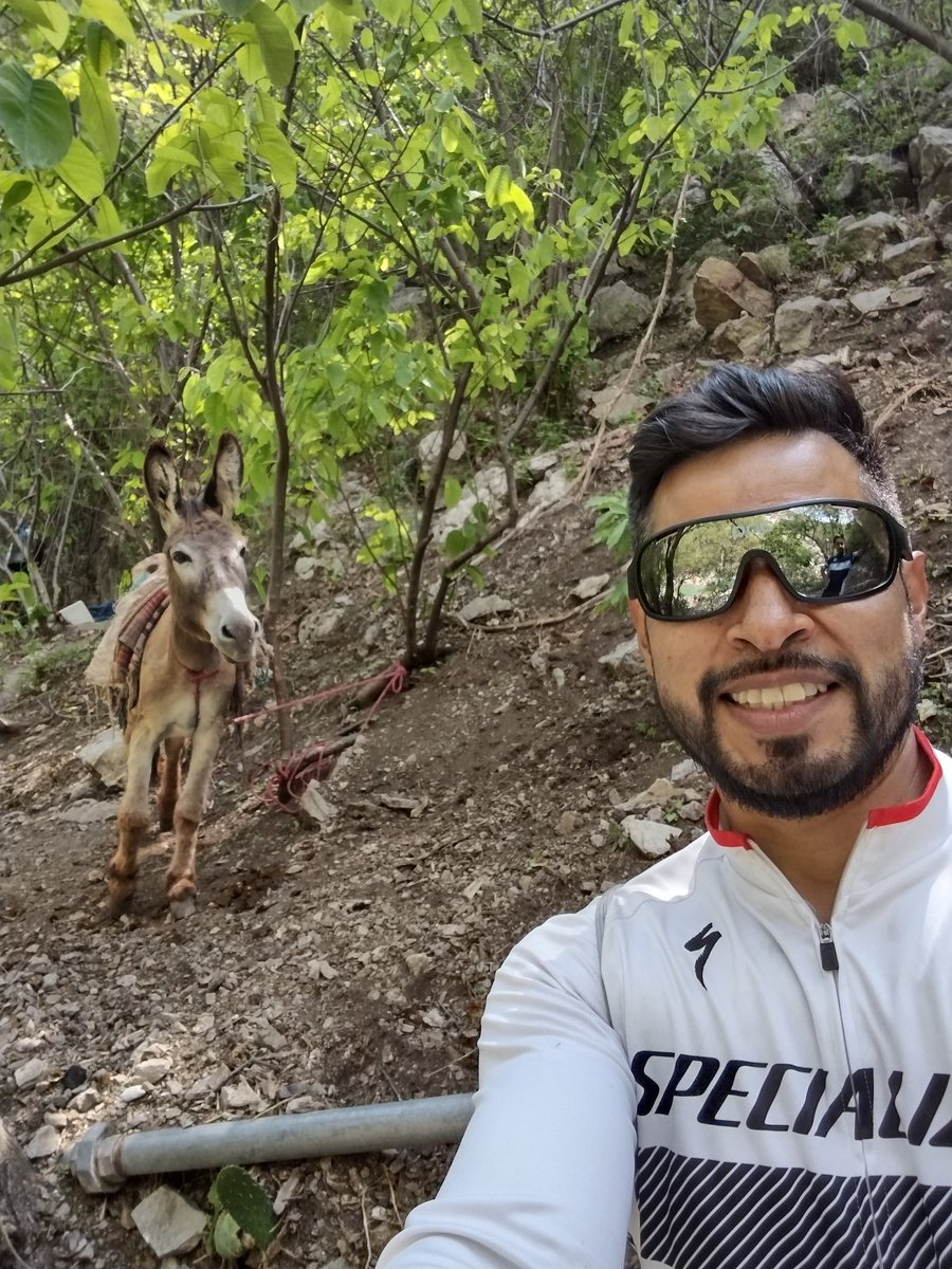 Timaloni's tweet photo. Pues nada. Ayer nos fuimos a pedalear a las cascadas de #ahuehuetla, hubo caminata y ese amigo me ha dado un susto. ; ) https://t.co/ZpT5ZyDq9T
