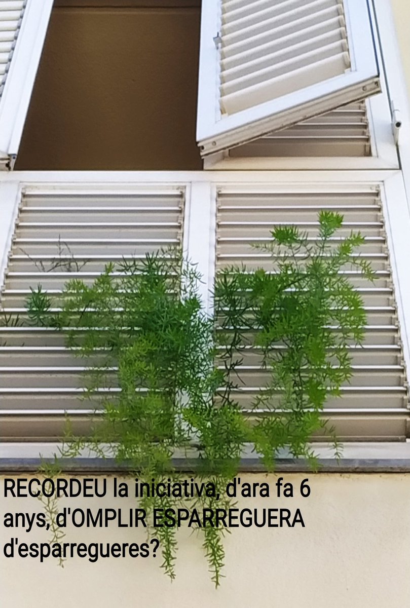 somentorn's tweet photo. Ho tornem a recolzar: 💚escampar la costum de tenir-ne almenys una, en un lloc visible 💚connexió amb l'entorn, omplim les nostres cases amb la planta protagonista del terreny, d'on agafa el nom el poble 💚ajardinem un poble desde cada casa, sense necessitar l'ajuntament 💪🏿💪🏿💚 https://t.co/n3I0d4q1BG