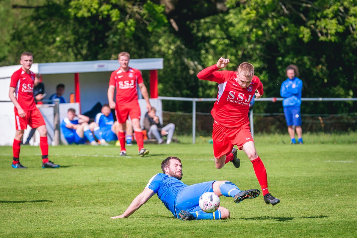 Stuart Tree tweet media