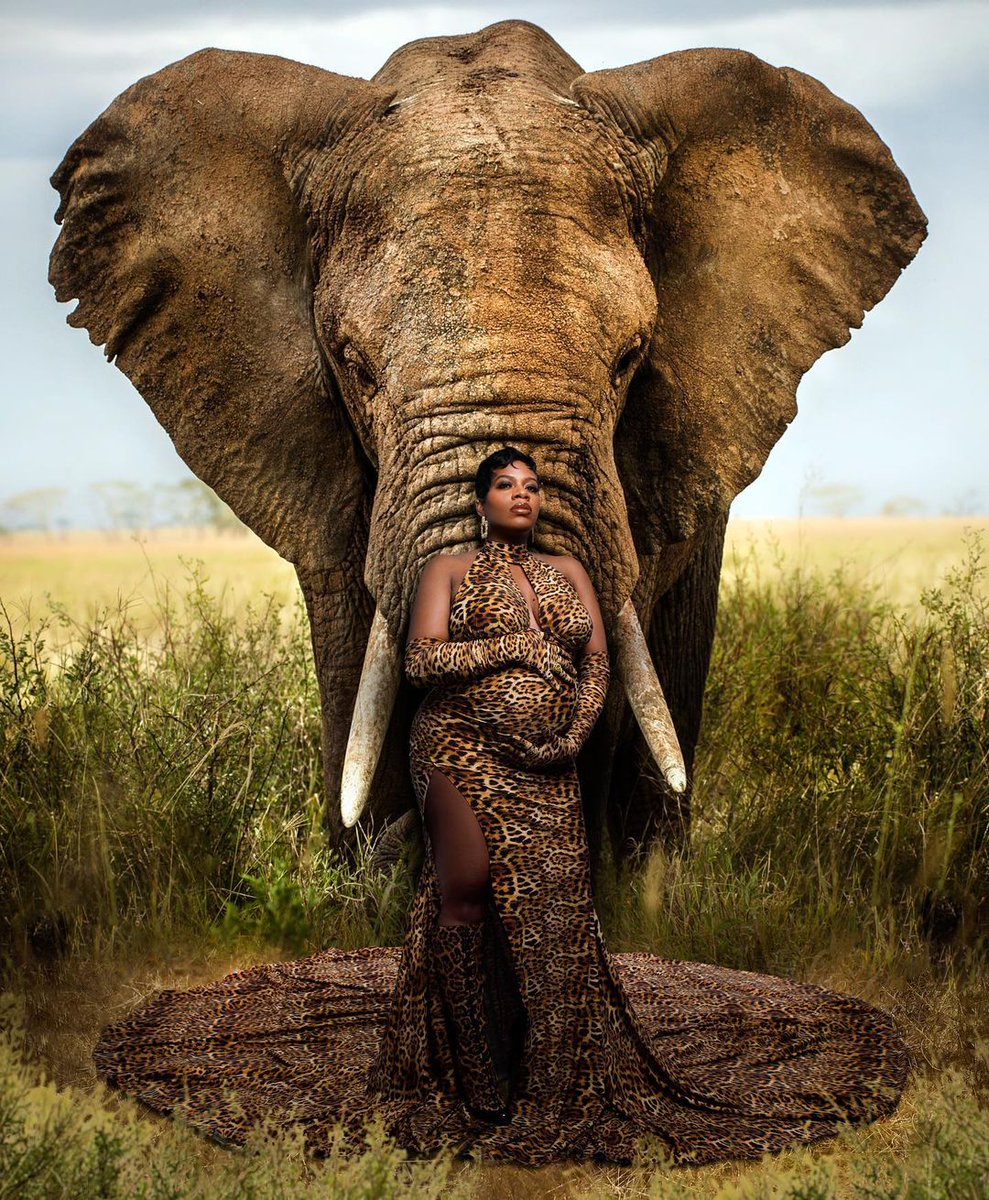 TasiasWord's tweet photo. I chose The Elephant for Keziah with because it represents patience and strength. Happy Birthday little Angel! 

We will be taking a hiatus from Taylor Talks to take care of baby Keziah. Thank you all so much for your support--we are so grateful--and will be back soon! https://t.co/5rmeg8Ocv4