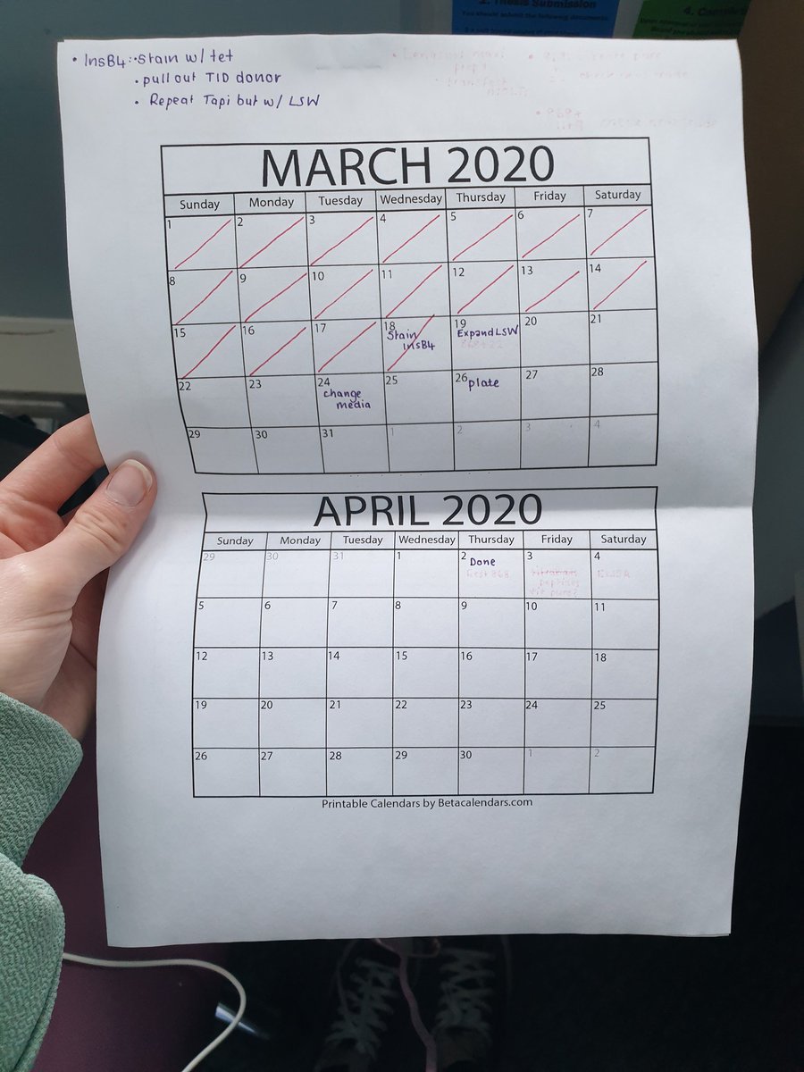 JadeRHopkins's tweet photo. Moved back in to my pre-covid office and had to take this eerie calender down... https://t.co/uPUVgDZTYU