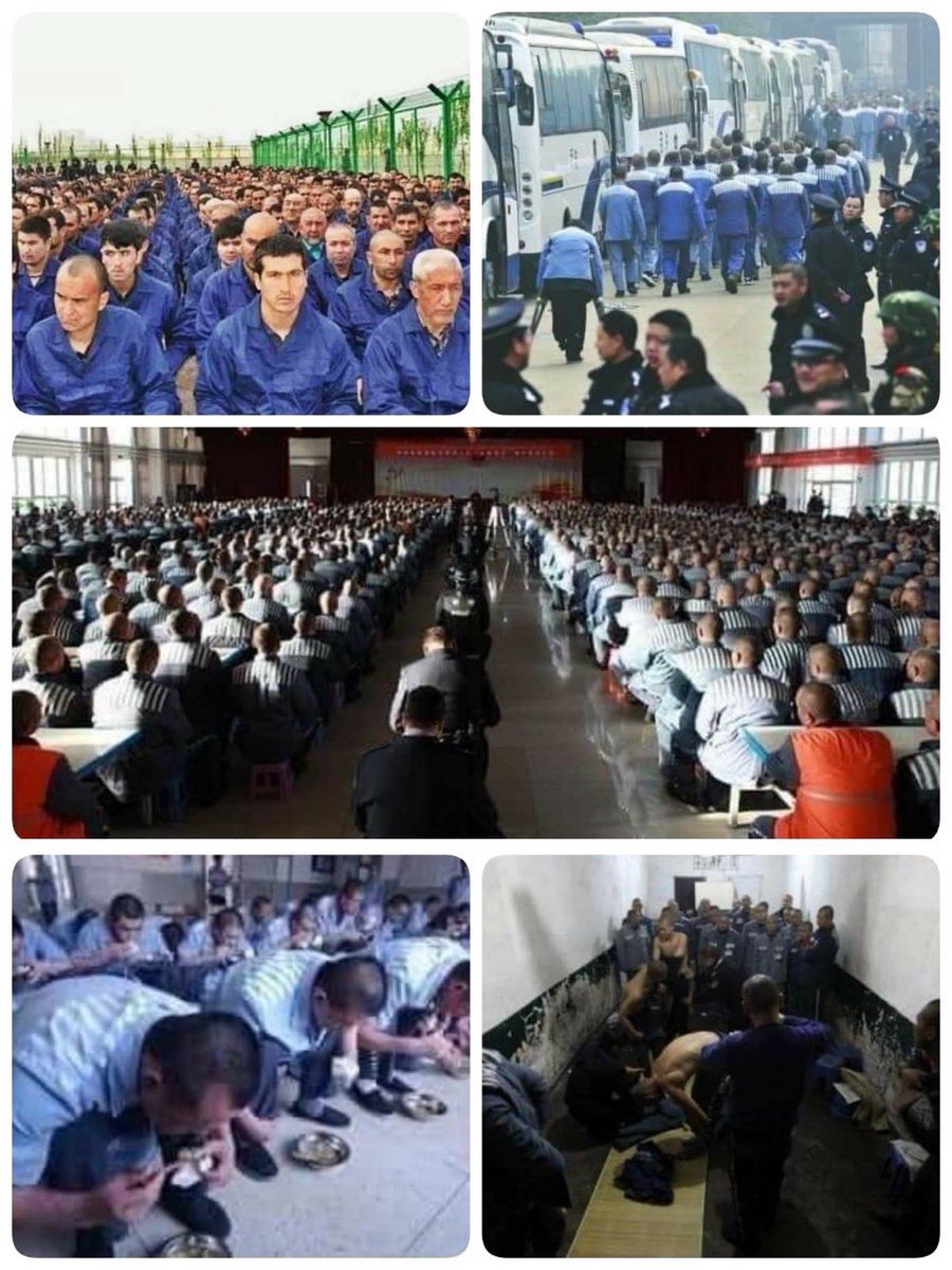 O1dunyasurgunu's tweet photo. Doğu 
Türkistan'da
Zulüm 
Var !
Soykırım 
Var !
İşgal 
Var !
Haberin 
Var mı ?
#SeeTurkistan https://t.co/CqDJs74205
