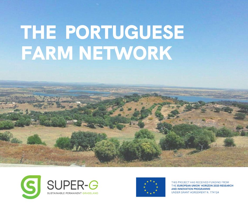 H2020SuperG's tweet photo. Welcome to the Portuguese #FarmNetwork! There are 6 farms that represent various soils and climate in the Alentejo region. We’ll be analysing #soil and plants samples to compare within this network and with other European #FarmNetworks. Stay tuned! #H2020SuperG https://t.co/aho6m6TJVy