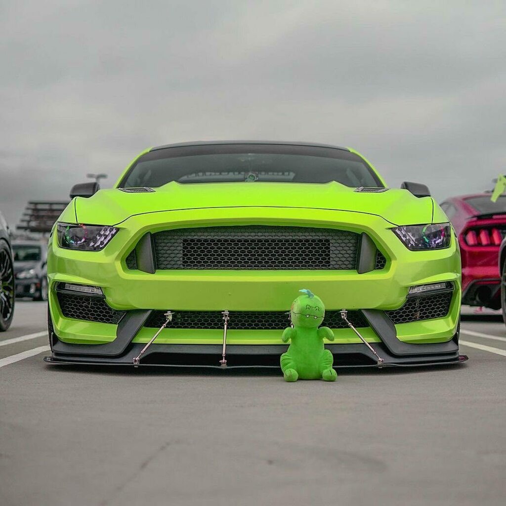 ladydriven_co's tweet photo. 🦖
@moostangbae dominating 💪
•
📸 @exx.media 📸
•
•
•
#ladydriven #mustang #stancenation #slammedenuff #americanmuscle #s550only #mustangmonday #ladydrivenfam #teamladydriven #cargirlculture #wecandoit #girlpower #beletty #hers #hersnothis #carsofi… https://t.co/lDSy9JcWQ8 https://t.co/WJDh1PyIRR