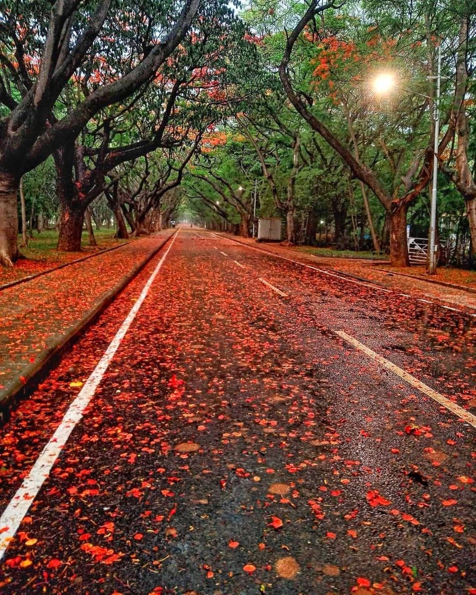 iamravihs's tweet photo. @susantananda3 #NammaBangalore NammaHemme https://t.co/vHKpXYWEaa
