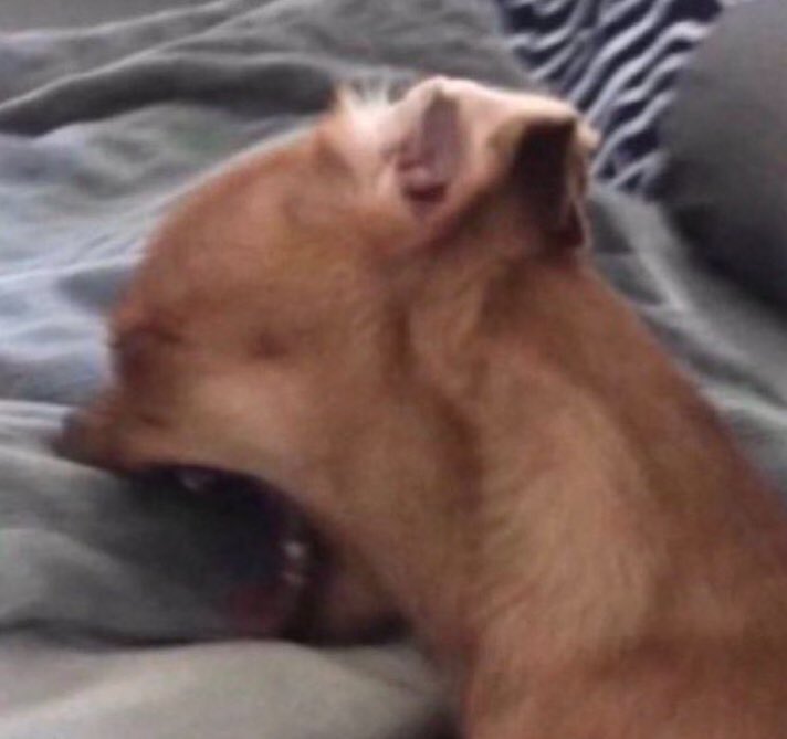 𝐃𝐞𝐧𝐤𝐢 𝐊𝐚𝐦𝐢𝐧𝐚𝐫𝐢. (@dunceboit) on Twitter photo 