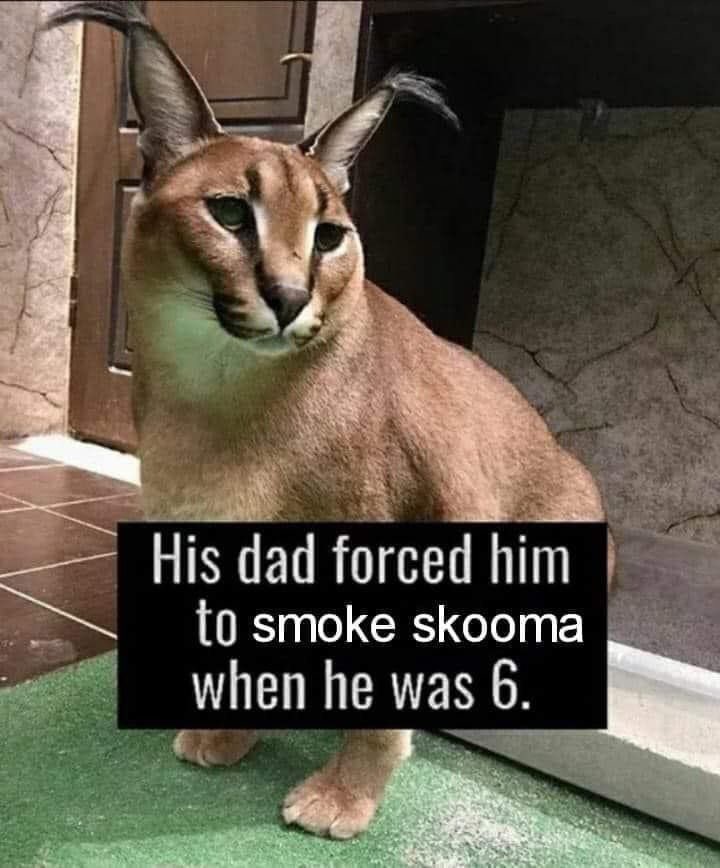 E2K9R6dWQAASm37?format=jpg&name=900x900