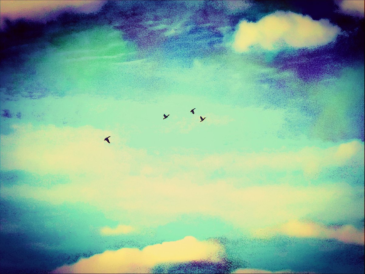 BalancedFrom tweet picture
