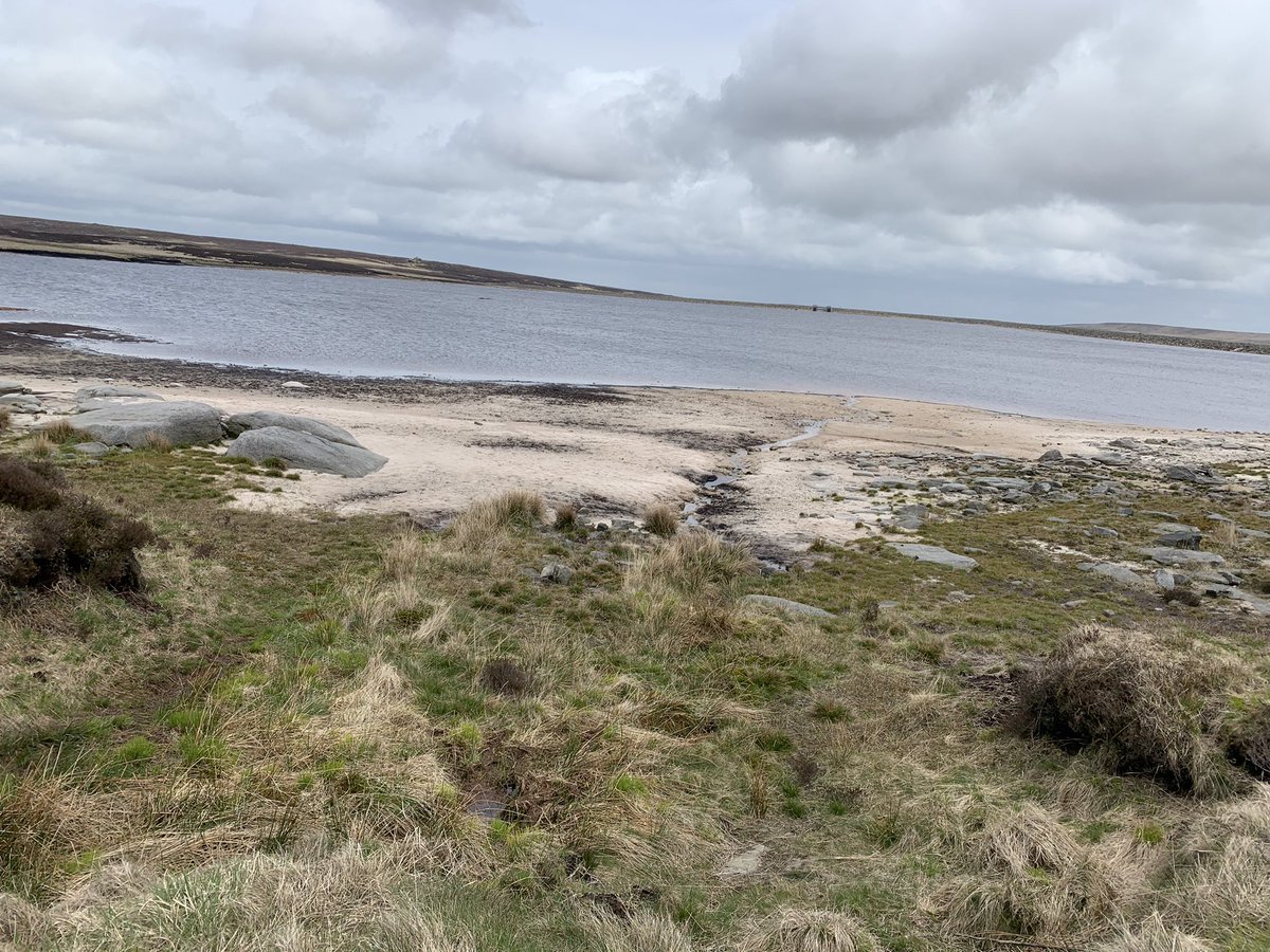 SueEh23's tweet photo. Blustery Sunday walk.  Worth it for the views. https://t.co/zyzdJf3KUr